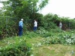 lions-yard-work-7-17-10-005